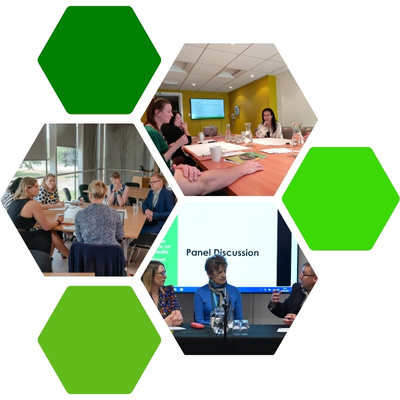 AMHIE Conferences: Discussions and Analysis