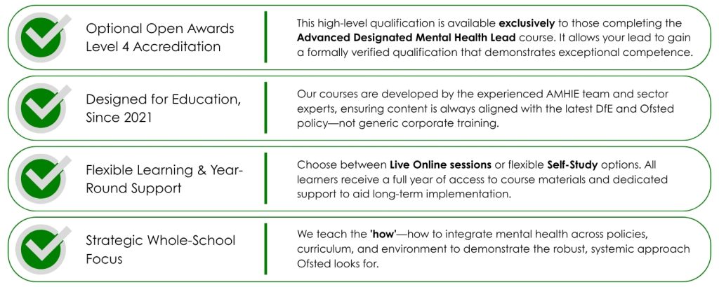 What makes AMHIE training stand out