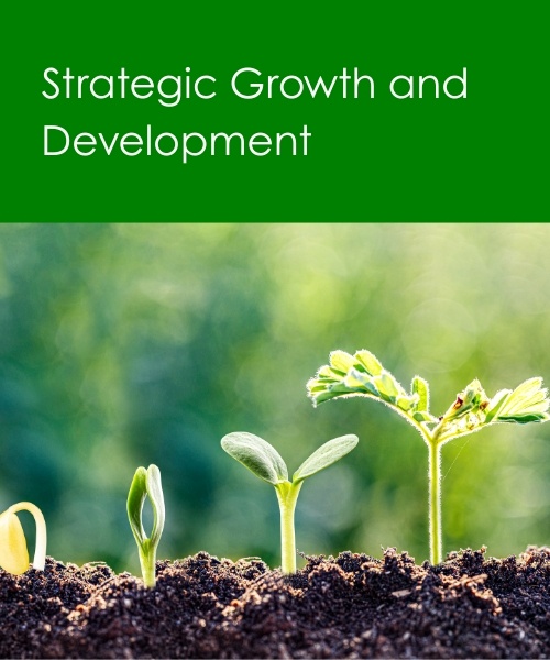 Strategic Growth and Development We Can Support Your Whole School's Strategic Growth