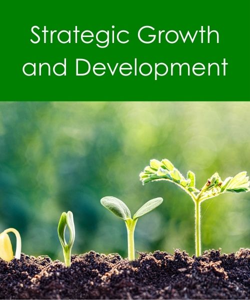 Strategic Growth and Development